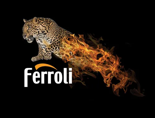 Ferroli Ferroli