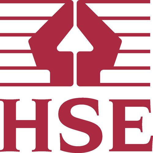The HSE investigation led to the jail term
