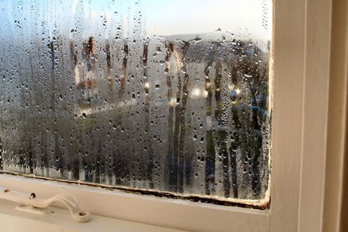 Condensation appears in places where there is little movement of air, such as windows