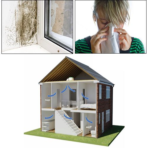 A fifth of householders reported that they experienced condensation and mould growth in the home